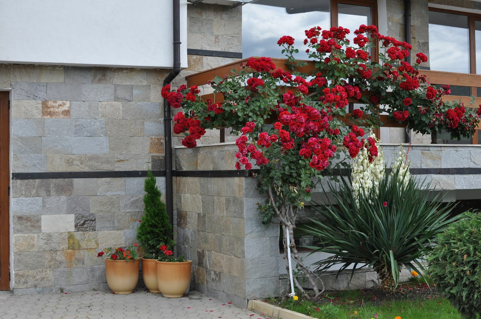 Gardenia Hills Hotel Sunny Beach Exterior photo